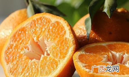 耙耙柑和丑八怪区别 耙耙柑是丑八怪吗