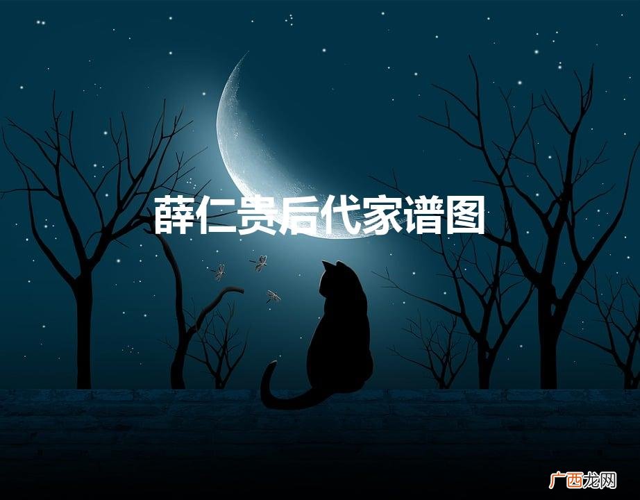 薛仁贵后代家谱图(薛氏家族的家谱)