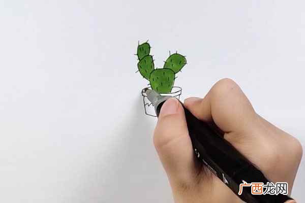 仙人掌图片简笔画大全 仙人掌图片简笔画