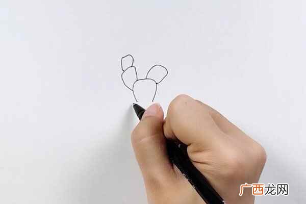 仙人掌图片简笔画大全 仙人掌图片简笔画