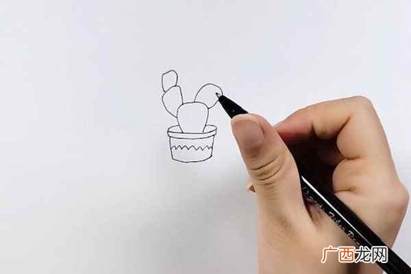 仙人掌图片简笔画大全 仙人掌图片简笔画