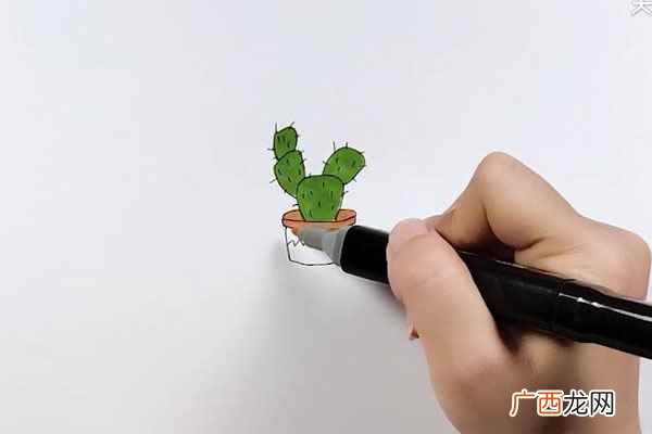 仙人掌图片简笔画大全 仙人掌图片简笔画