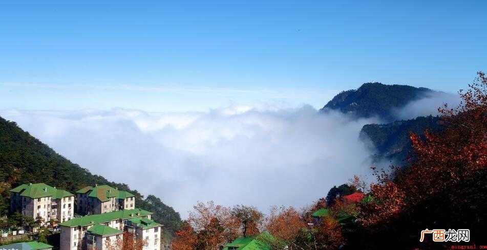 不识庐山真面目，只缘身在此山中的意思是什么