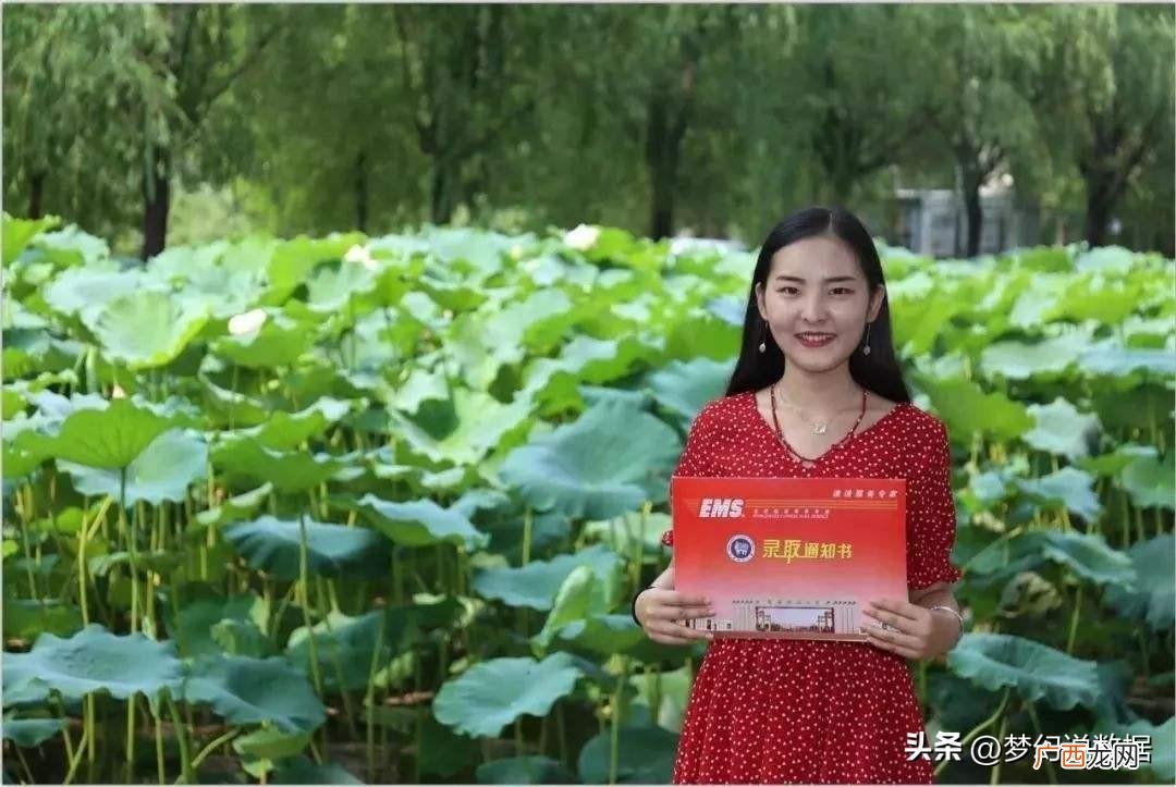 两者之间怎么选 河南科技大学和河南理工大学哪个好