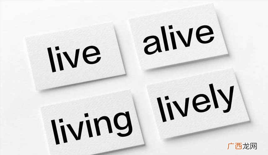 life是什么意思啊 life是什么意思