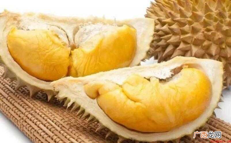 榴莲是什么季节的水果