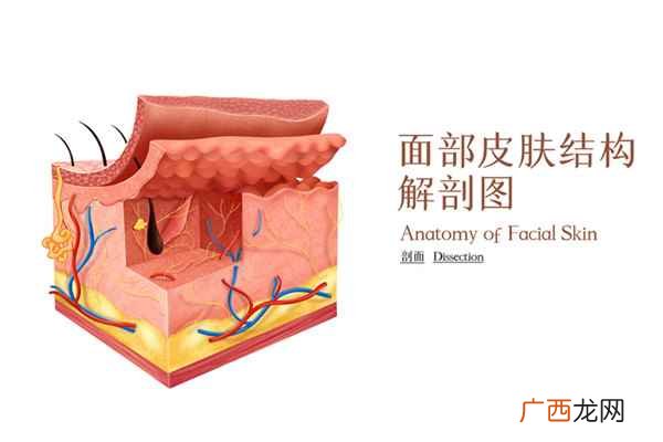 怎样恢复嚼槟榔造成的脸部变大 嚼槟榔脸变大怎么恢复