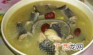 蛇汤的做法 快来滋补一下