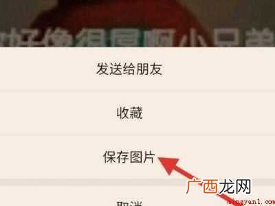 演示机型:Iphone 12 微信动态表情保存到手机相册