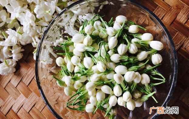 茉莉花能吃吗怎么做好吃 茉莉花能吃吗