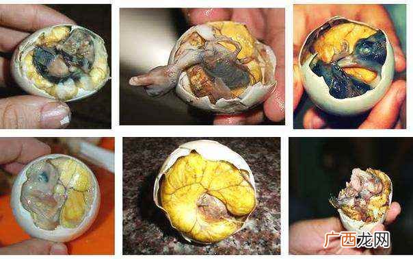 毛蛋可以吃吗