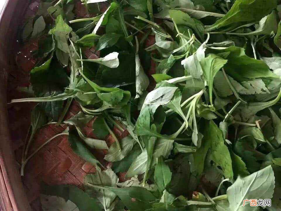 野菜怎么保存好其实关于野菜的保存的方式是比较多的