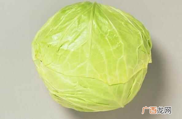 卷心菜是什么菜 卷心菜是什么