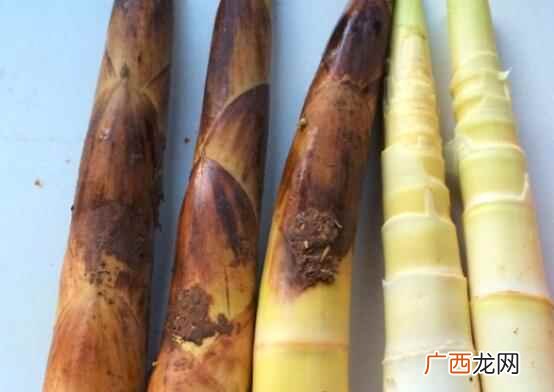 春笋中间发黑还能吃吗 春笋放了几天有点发黑还能吃吗