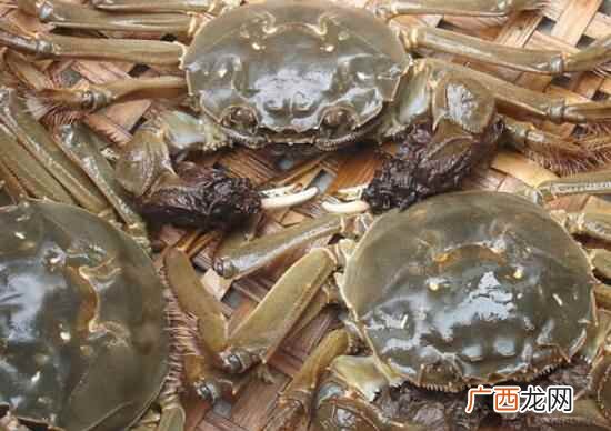 河蟹怎么做好吃