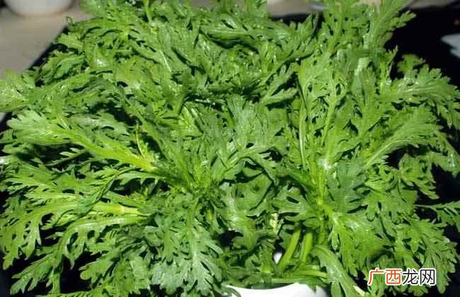 出现白发后能不能吃茼蒿进行调理 白发可不可以吃茼蒿吗