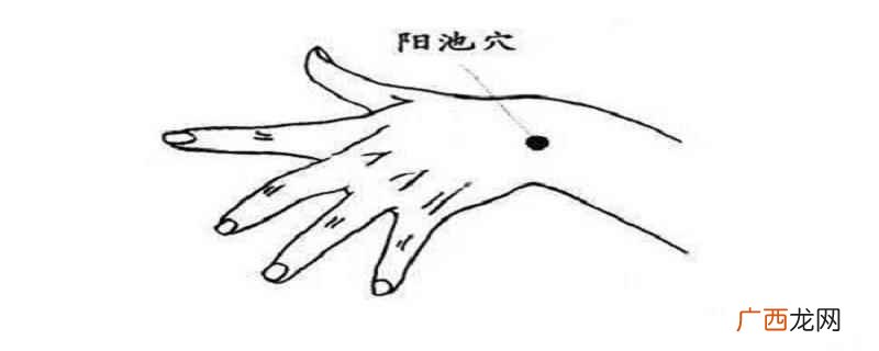 阳池准确位置图和作用功效 阳池准确位置图和作用