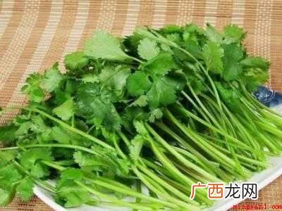 香菜怎么晒干又绿又香