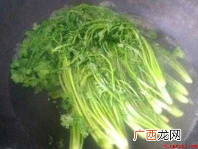 香菜怎么晒干又绿又香
