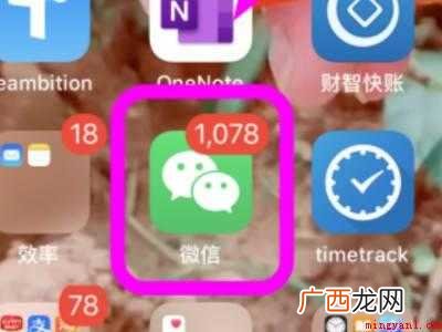演示机型:Iphone 12 拍拍设置