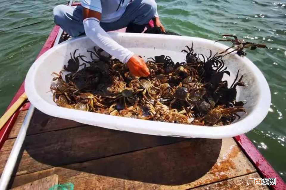 洗澡蟹是什么梗 什么是洗澡蟹