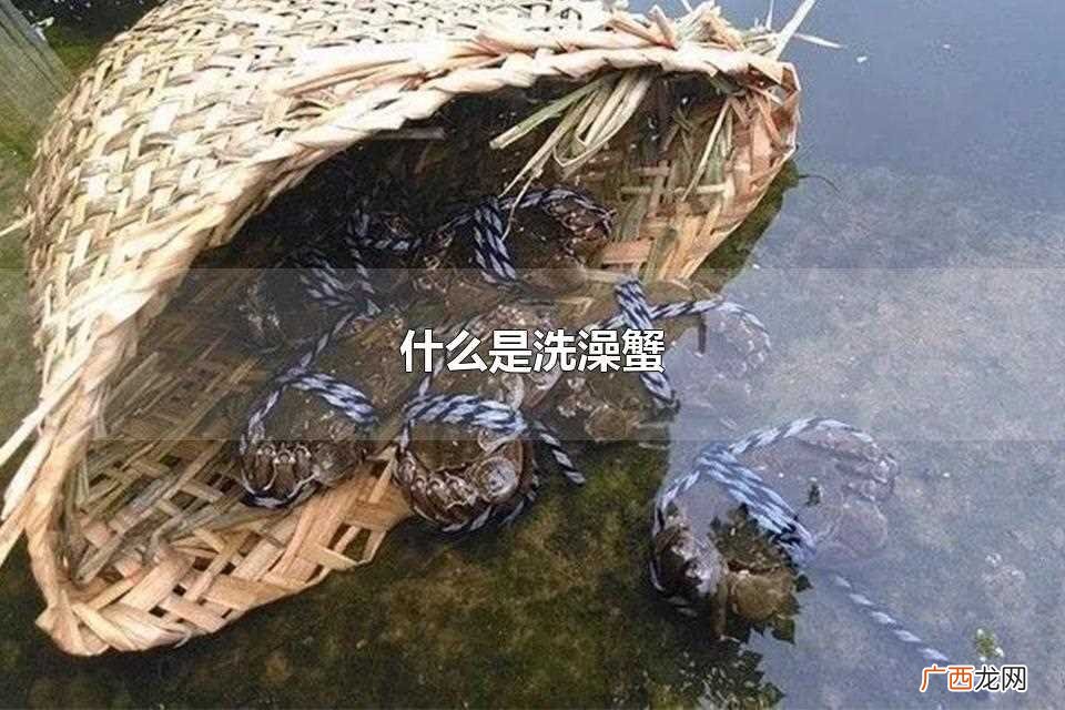 洗澡蟹是什么梗 什么是洗澡蟹