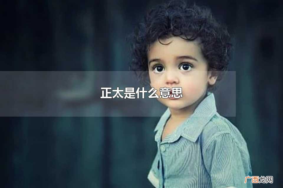 正太是形容年幼可爱的小男孩的意思 正太是什么意思