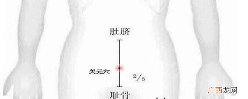 关元的按摩手法 关元的准确位置图