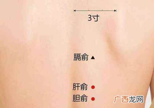 腹胀痛、胸胁支满、黄疸结胸、吞酸吐食、饮食不化、目赤痒痛、目 按摩哪里排出胃里的气