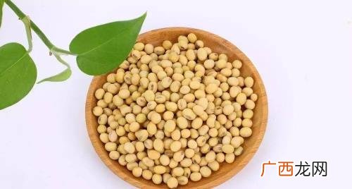 黄豆跟毛豆是一样的吗 黄豆是毛豆变来的吗