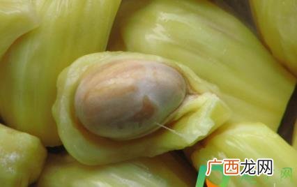 菠萝蜜果肉上的胶怎么洗掉 菠萝蜜粘衣服上用什么洗