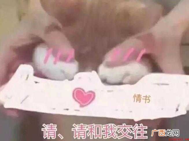 撩女朋友的情话有哪些