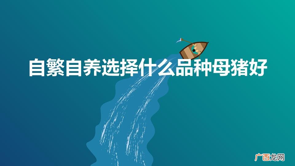农村养什么品种母猪好。 自繁自养选择什么品种母猪好