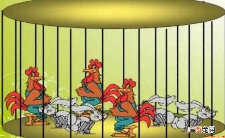鸡兔同笼最简单的公式是什么