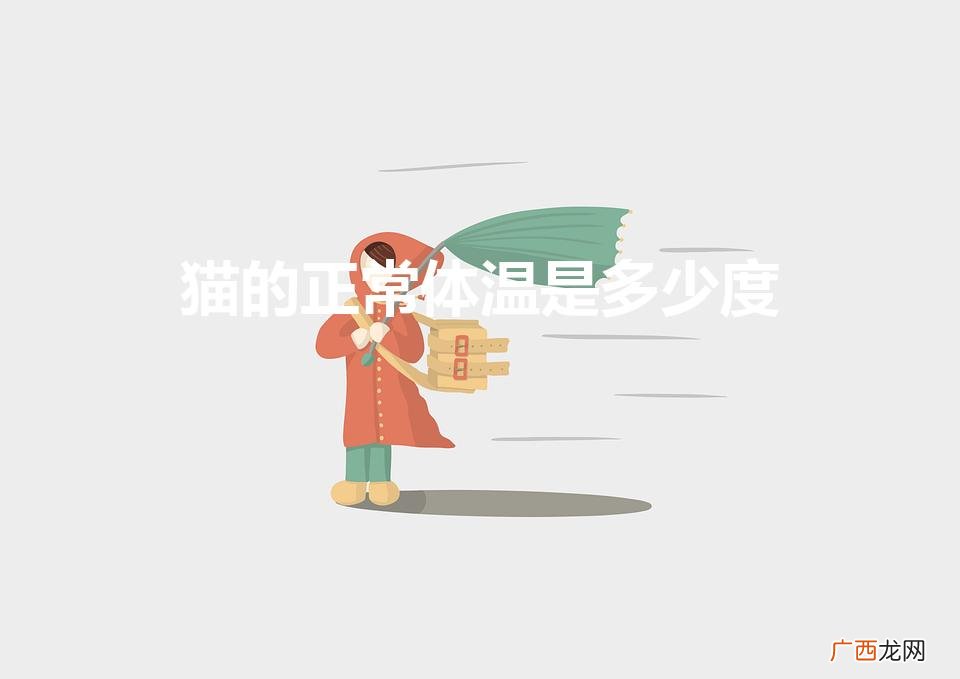 猫的正常体温是多少 猫的正常体温是多少度