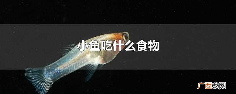 小鱼吃什么食物可以养活 小鱼吃什么食物