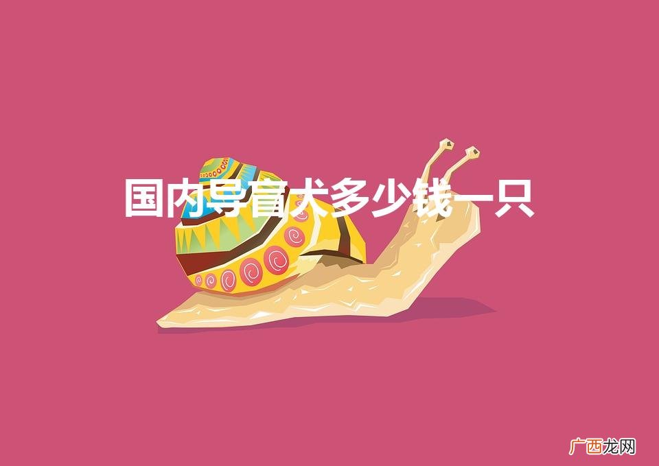 国内导盲犬多少钱一只（导盲犬的价格)