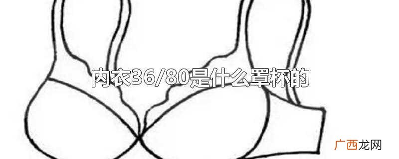 内衣36/80指的是下胸围数值 内衣36/80是什么罩杯的