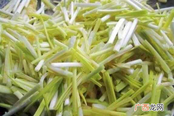 蒜黄的保存方法 蒜黄如何保存