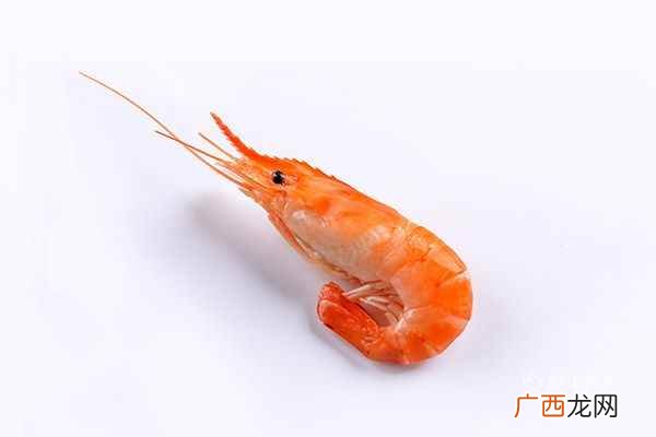 河虾的营养价值及功效