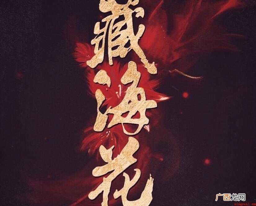 《藏海花》讲的是什么