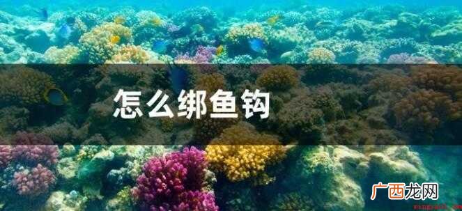 怎样绑鱼钩 钓鱼钩的窍门 怎样绑鱼钩