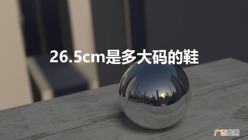 26.5cm是多大码的鞋（12码鞋子是多大)