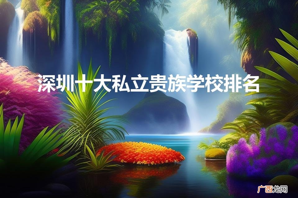 深圳十大私立贵族学校排名（深圳十大私立贵族学校排名榜)