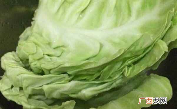 吃卷心菜能不能减肥 吃卷心菜能减肥吗