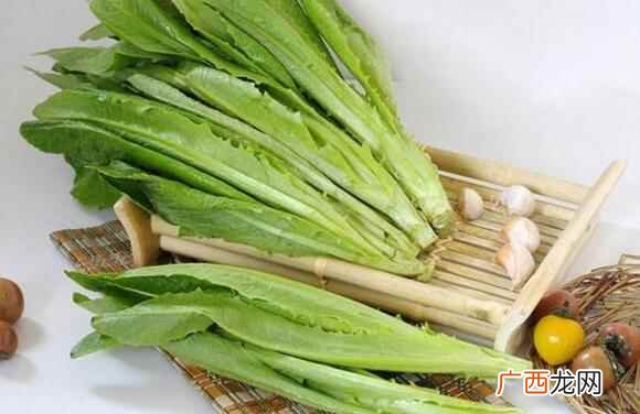 有卖菜的功效与作用有哪些 油麦菜的功效与作用