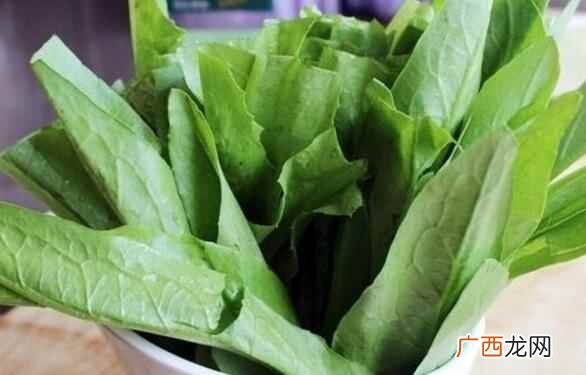 孕妇能不能吃油麦菜 孕妇可以吃油麦菜吗