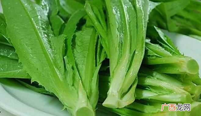 油麦菜和生菜的区别图片 油麦菜和生菜的区别