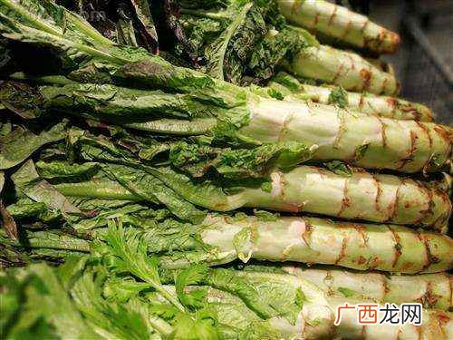 鱼腥草和莴笋的凉拌法 莴笋和鱼腥草能一起吃吗
