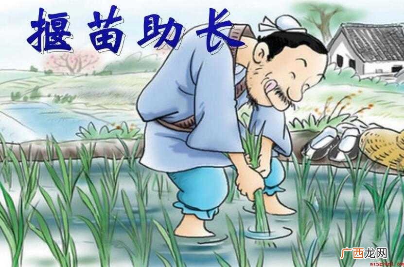 揠苗助长的意思是什么
